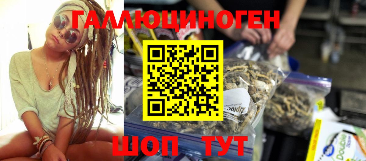 Миллерово  Галлюциногенные грибы мицелий  Псилоцибиновые грибы Psilocybe  Вход с VPN 