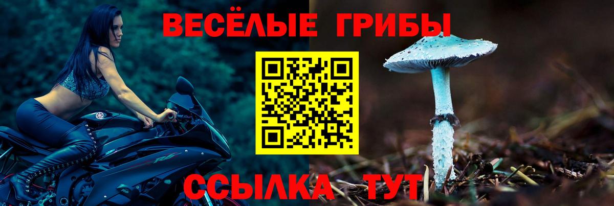 Псилоцибиновые грибы GOLDEN TEACHER Миллерово